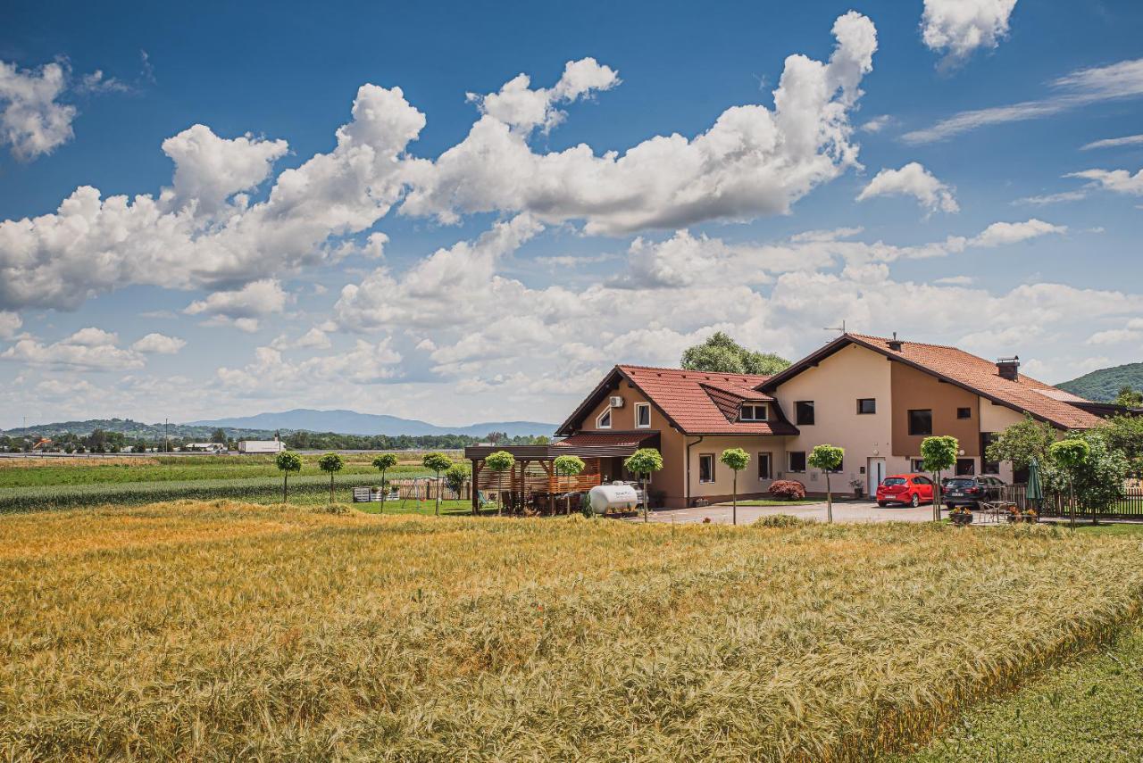 Lux Living Apartments Budic Near Terme Catez Brežice Exterior foto