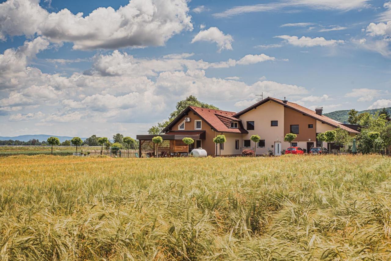 Lux Living Apartments Budic Near Terme Catez Brežice Exterior foto