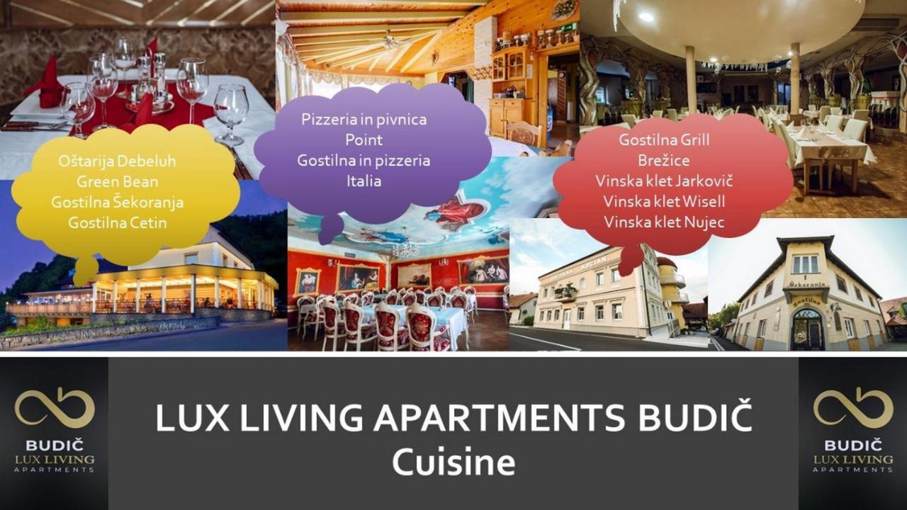 Lux Living Apartments Budic Near Terme Catez Brežice Exterior foto